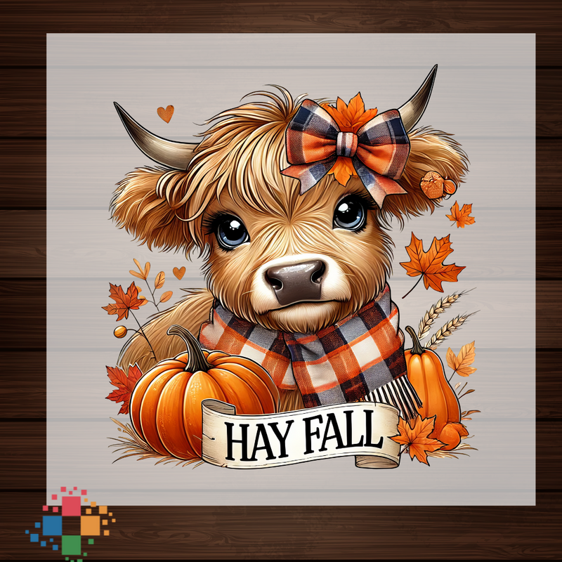 Hay Fall with Highland Cow