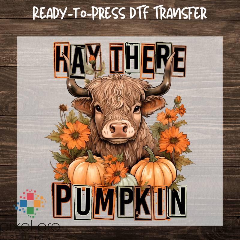 Hay There Pumpkin