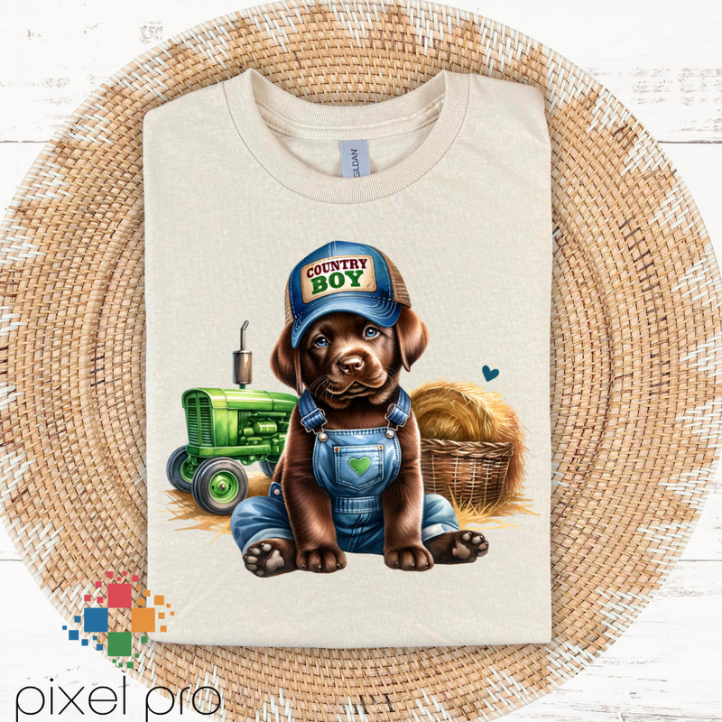 Country Boy Lab in Hat