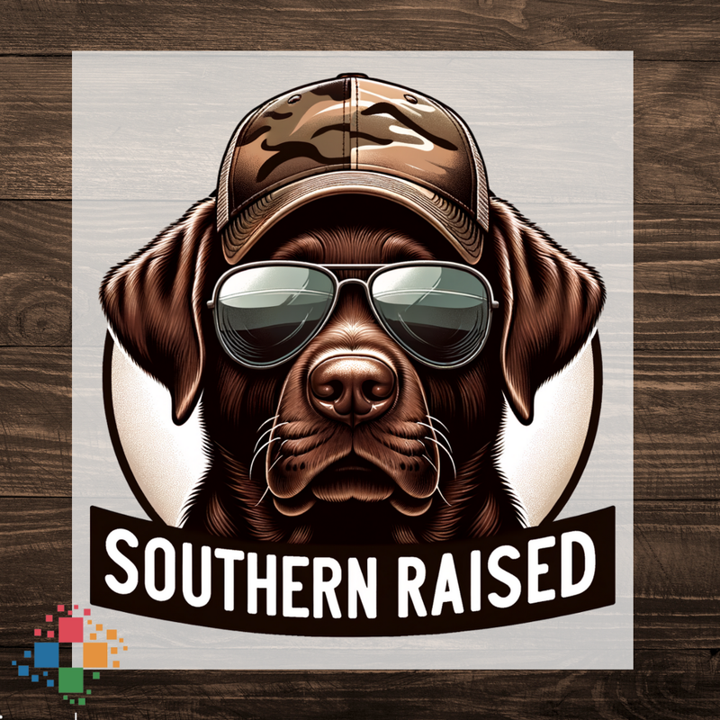 Southern Raised with Chocolate Lab