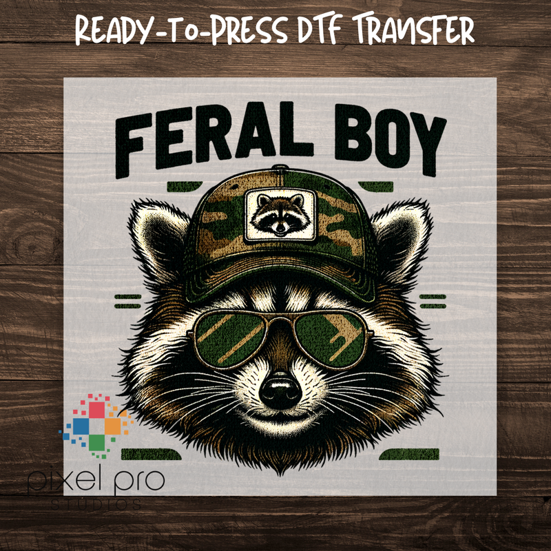 Feral Boy Raccoon