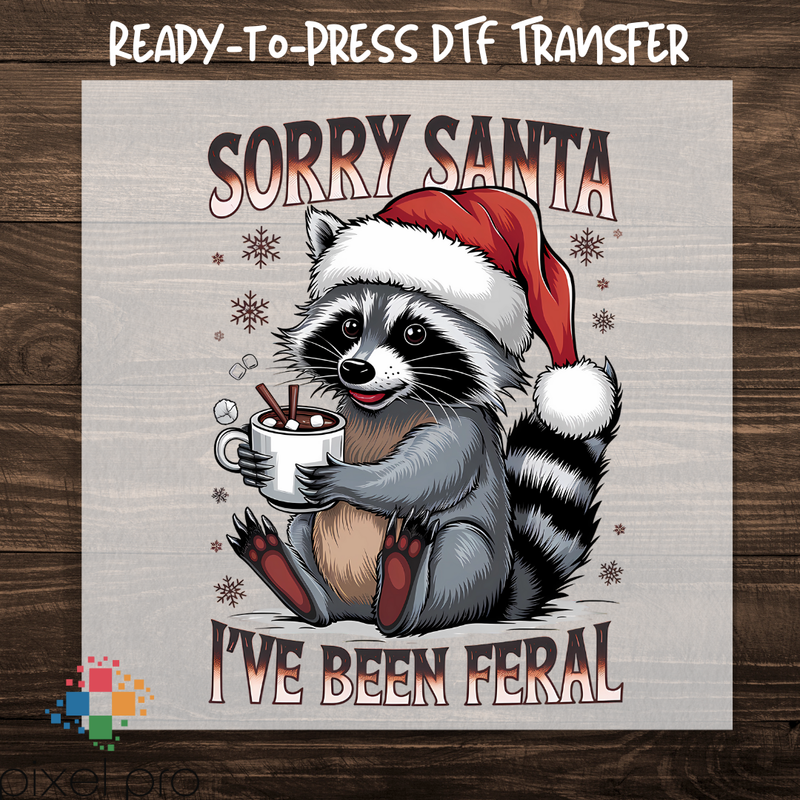 Sorry Santa I&