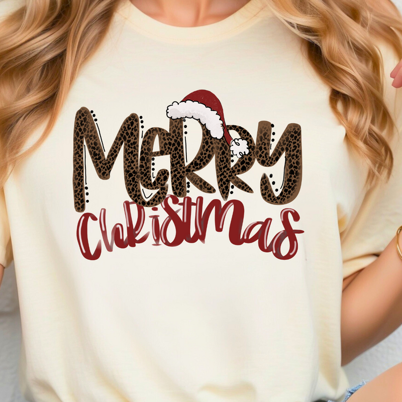 Merry Christmas with Santa Hat