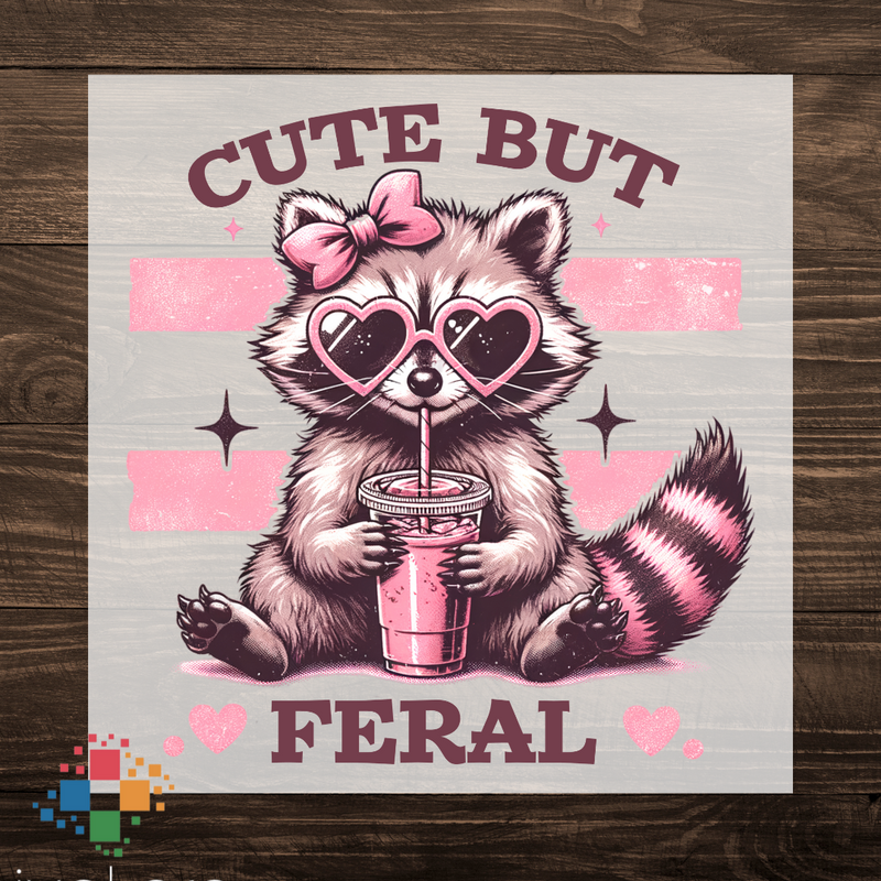 Cute But Feral with Raccoon