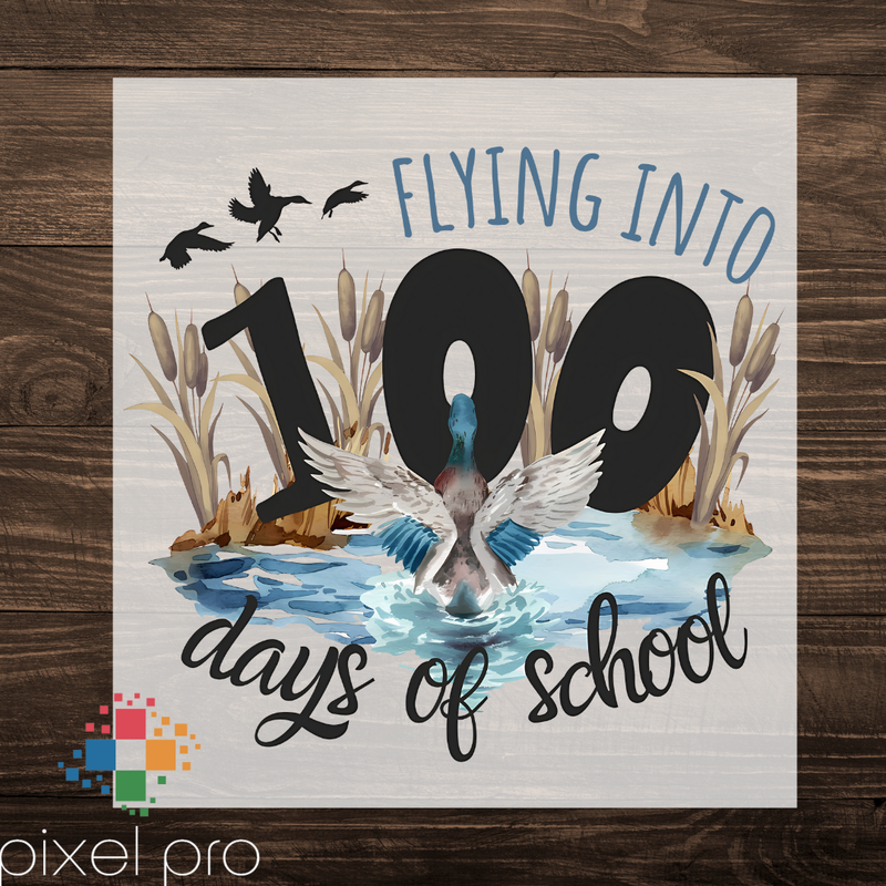 Flying Into 100 Days of School