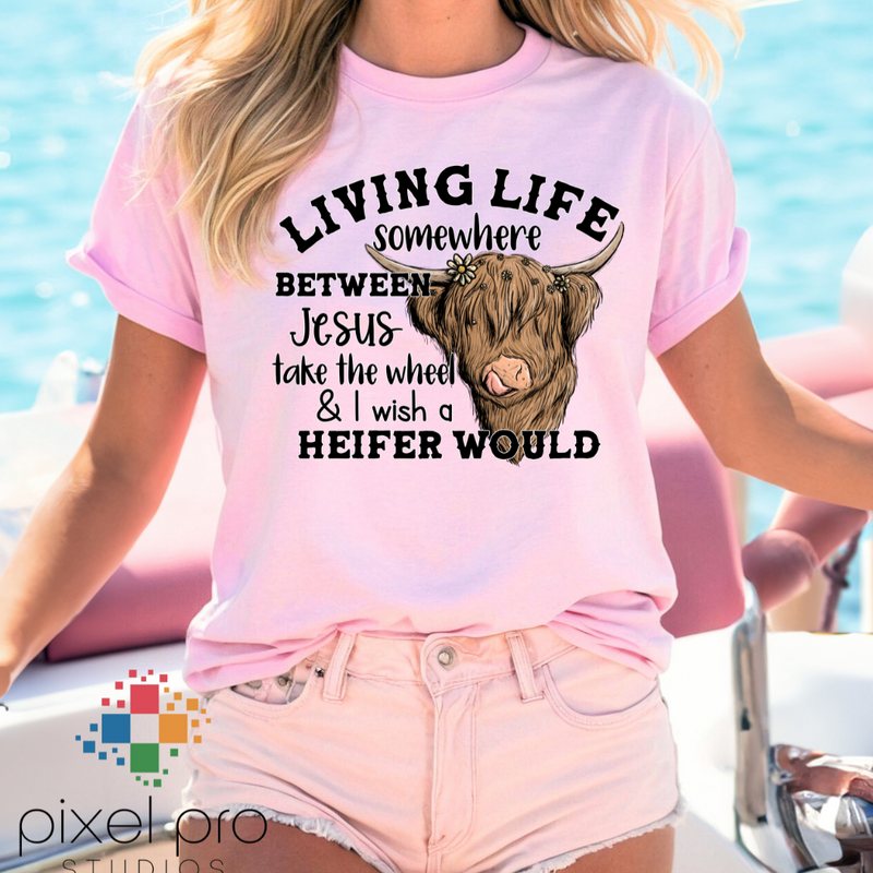 Living Life Somewhere Btw Jesus Take The Wheel