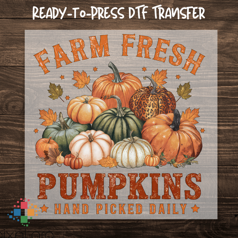 Grunge Farm Fresh Pumpkins