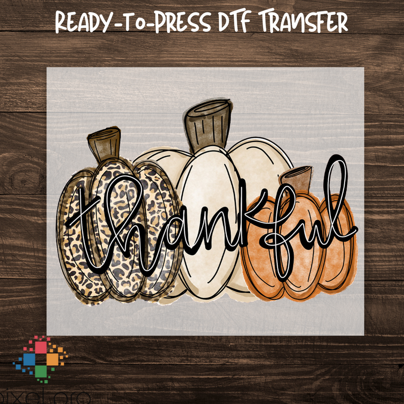 Thankful on Pumpkins