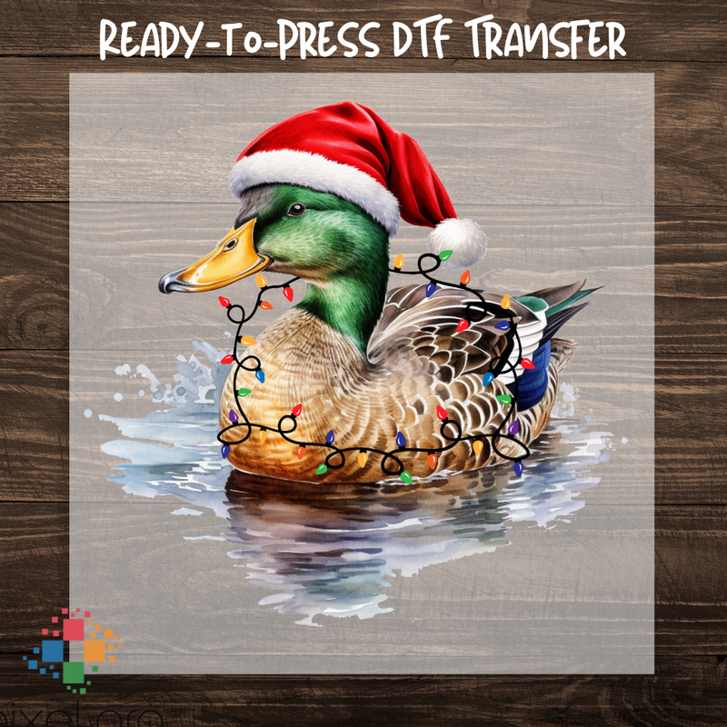 Christmas Duck