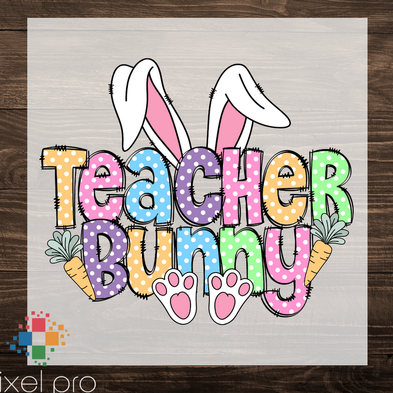 Teacher Bunny